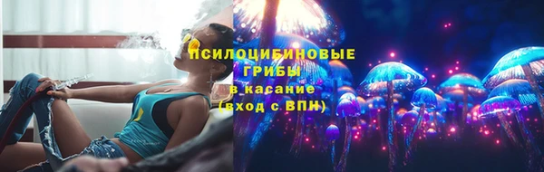 тгк Няндома