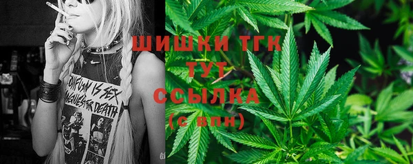 мяу мяу мука Кирсанов