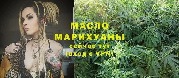 мяу мяу мука Кирсанов